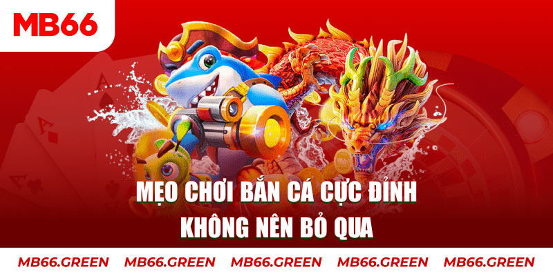 ee8801 gà chọi thomo