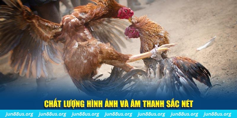 ee8801 nổ hũ may mắn