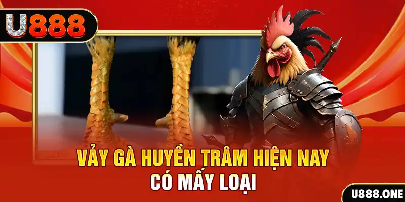 ee8801 trực tiếp đá gà thomo hôm nay