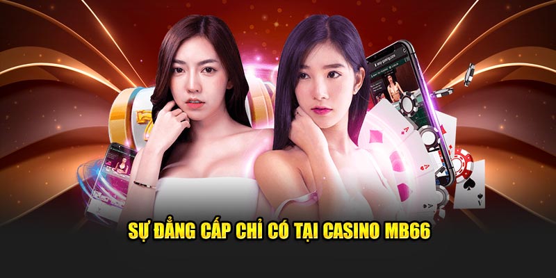 ee8801 what is the best online casino for real money