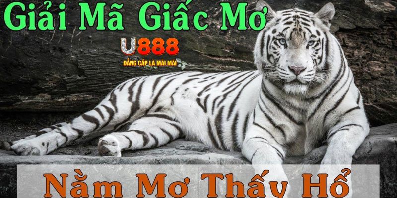 ee8801 game máy bay cá cược