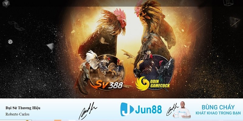 ee8801 Con át chủ bài Chuhande
