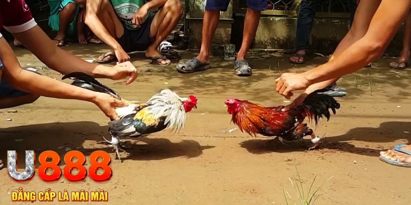 ee8801 quay nổ hũ là gì