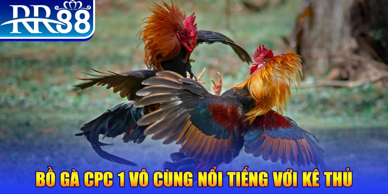 ee8801 xổ số miền bắc thứ tư