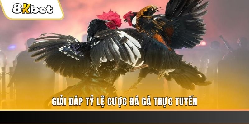 ee8801 quay thử xổ số miền nam