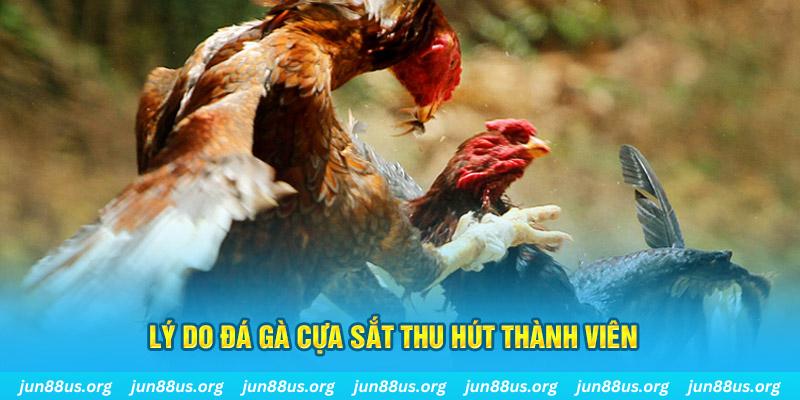 ee8801 game đánh bài đổi thẻ điện thoại trên máy tính