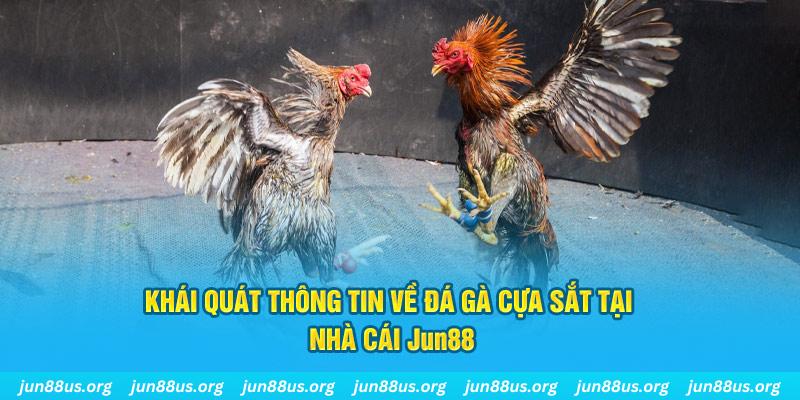 ee8801 nổ hũ thần tài là gì