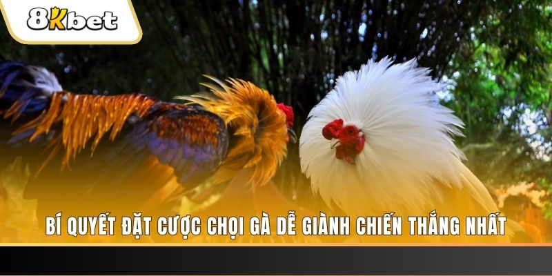 ee8801 Giành Chủ Bull Bull
