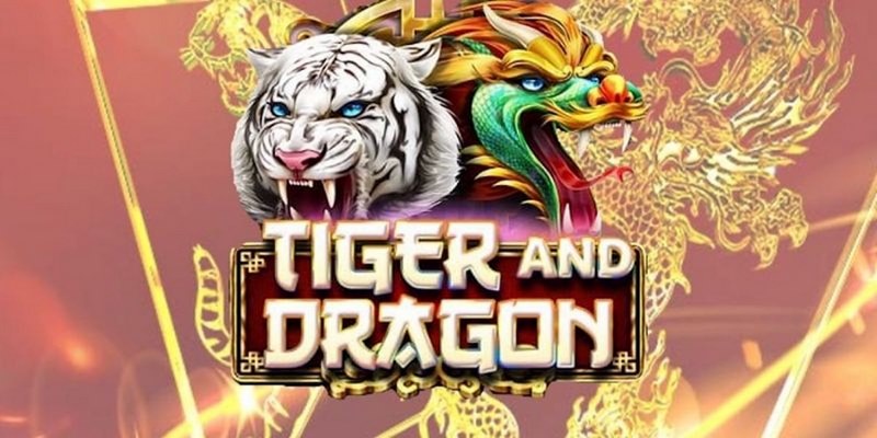 ee8801 đăng nhập roulette 2024